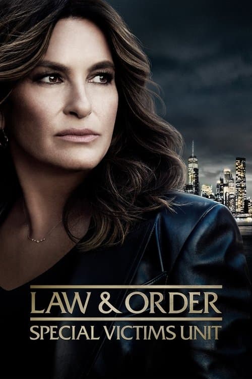 Law & Order: Special Victims Unit poster image