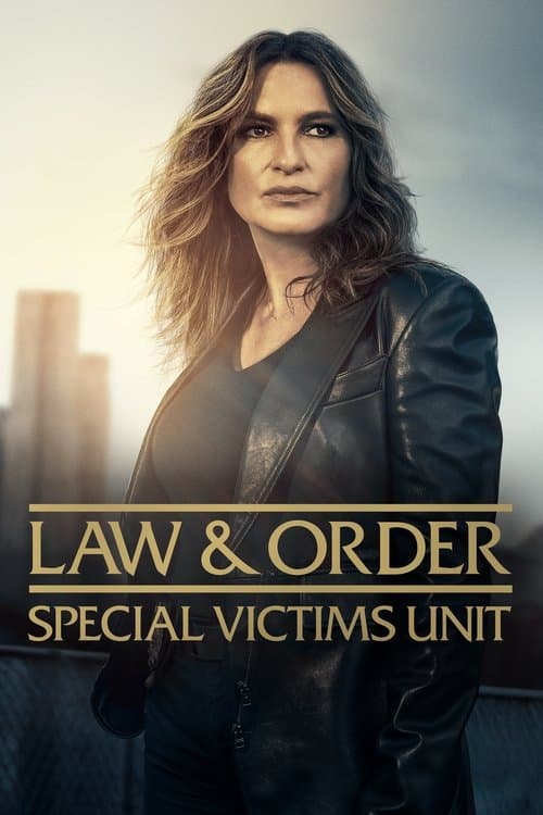 Law & Order: Special Victims Unit poster image