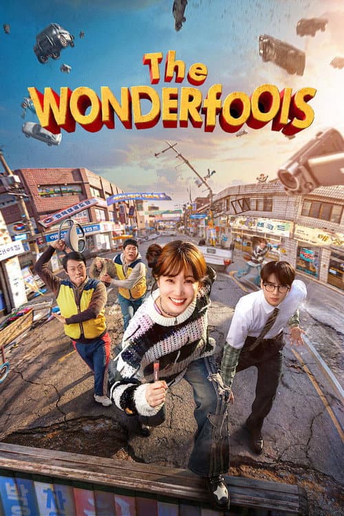 The WONDERfools poster image