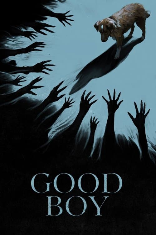 Good Boy poster image