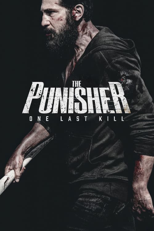 The Punisher: One Last Kill poster image